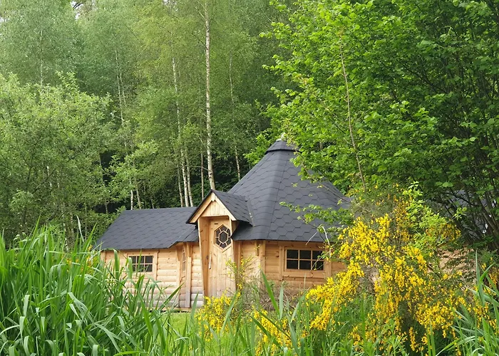 White Wood Kota